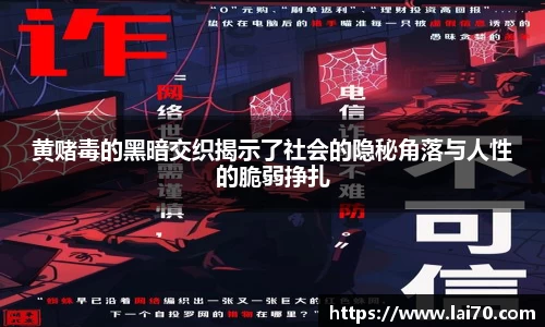 6163银河.net163.am